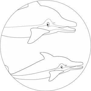 Sjabloon: Dolfijnen*