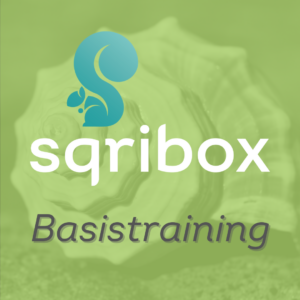 Sqribox Basistraining