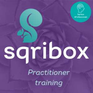 Sqribox Practitioner training